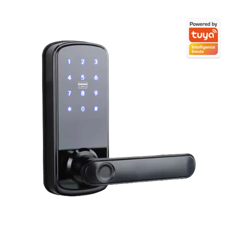 Single Tongue Password Fingerp - Smart Door Lock Wifi review and price