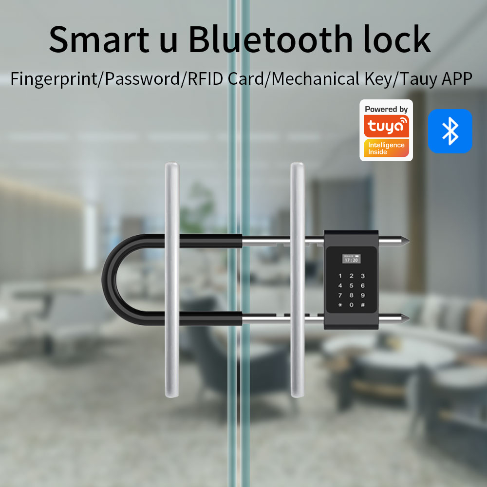 Electronic Biometric Fingerpri - Smart Door Lock Wifi review and price